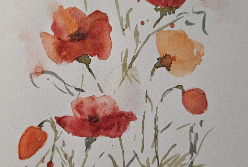 Poppies in sketchbook