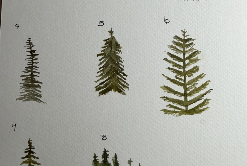 Tree Types