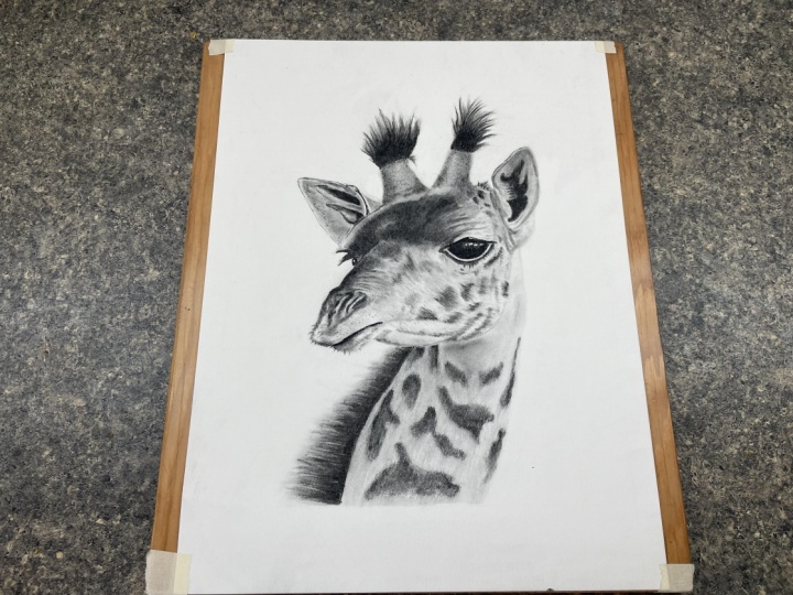 Charcoal giraffe