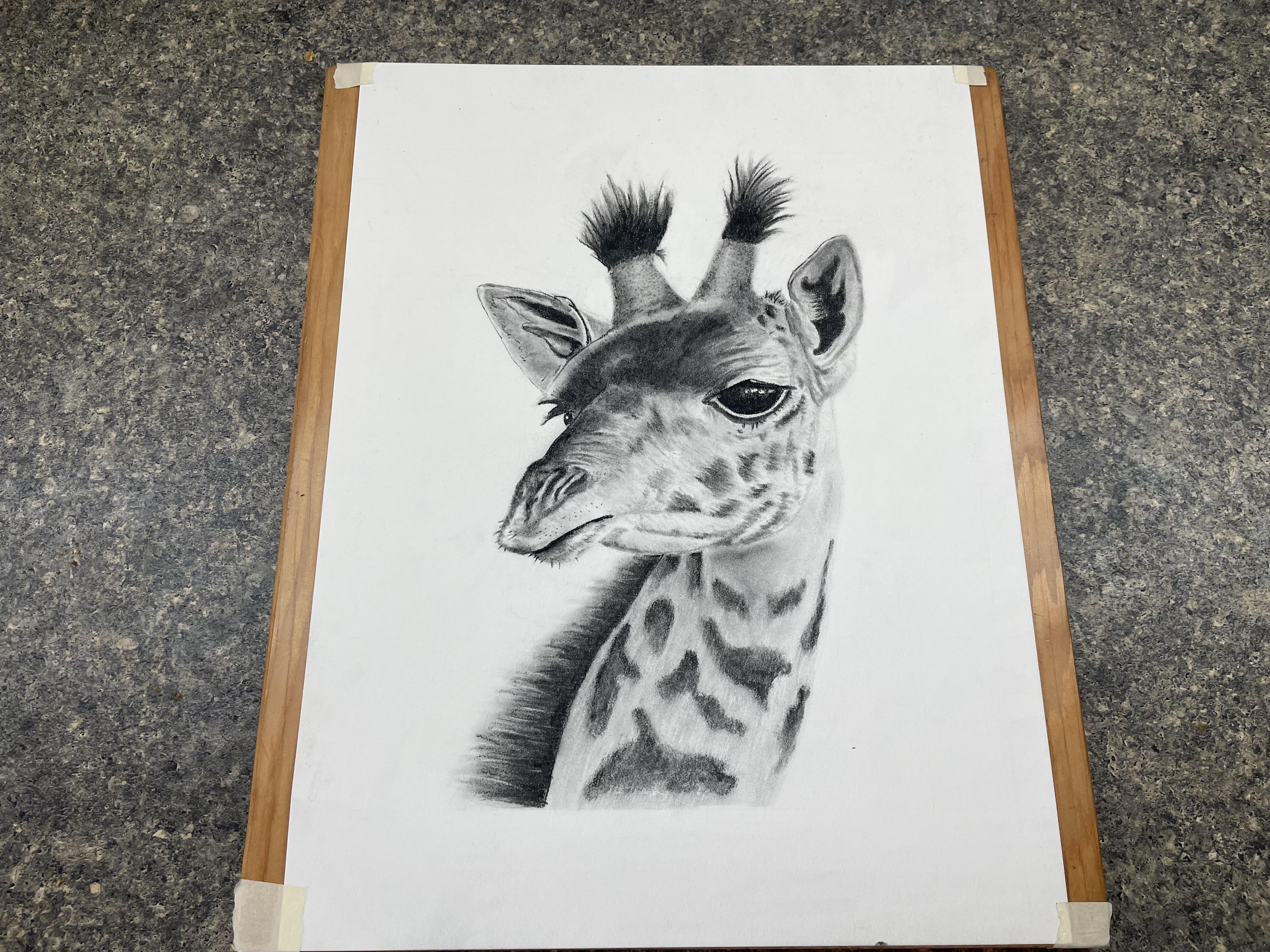 more-projects-from-class-img