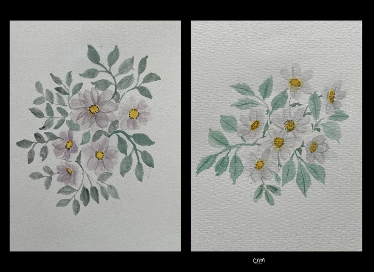 Daisies