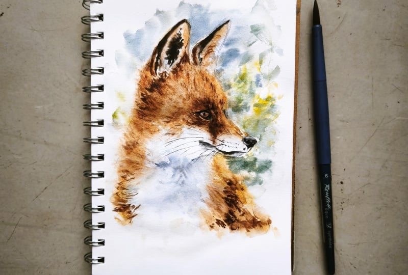 Loose watercolor Fox