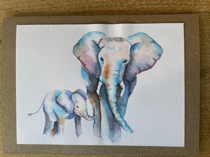 Colourful elephants