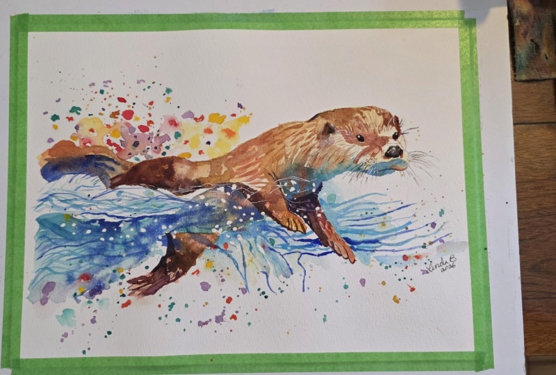 Playful Otter