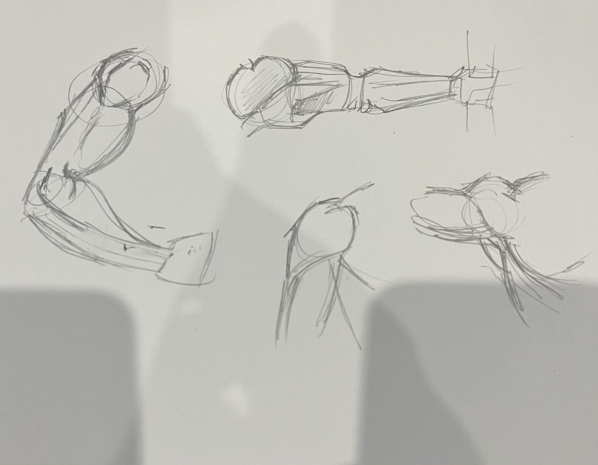 more-projects-from-class-img