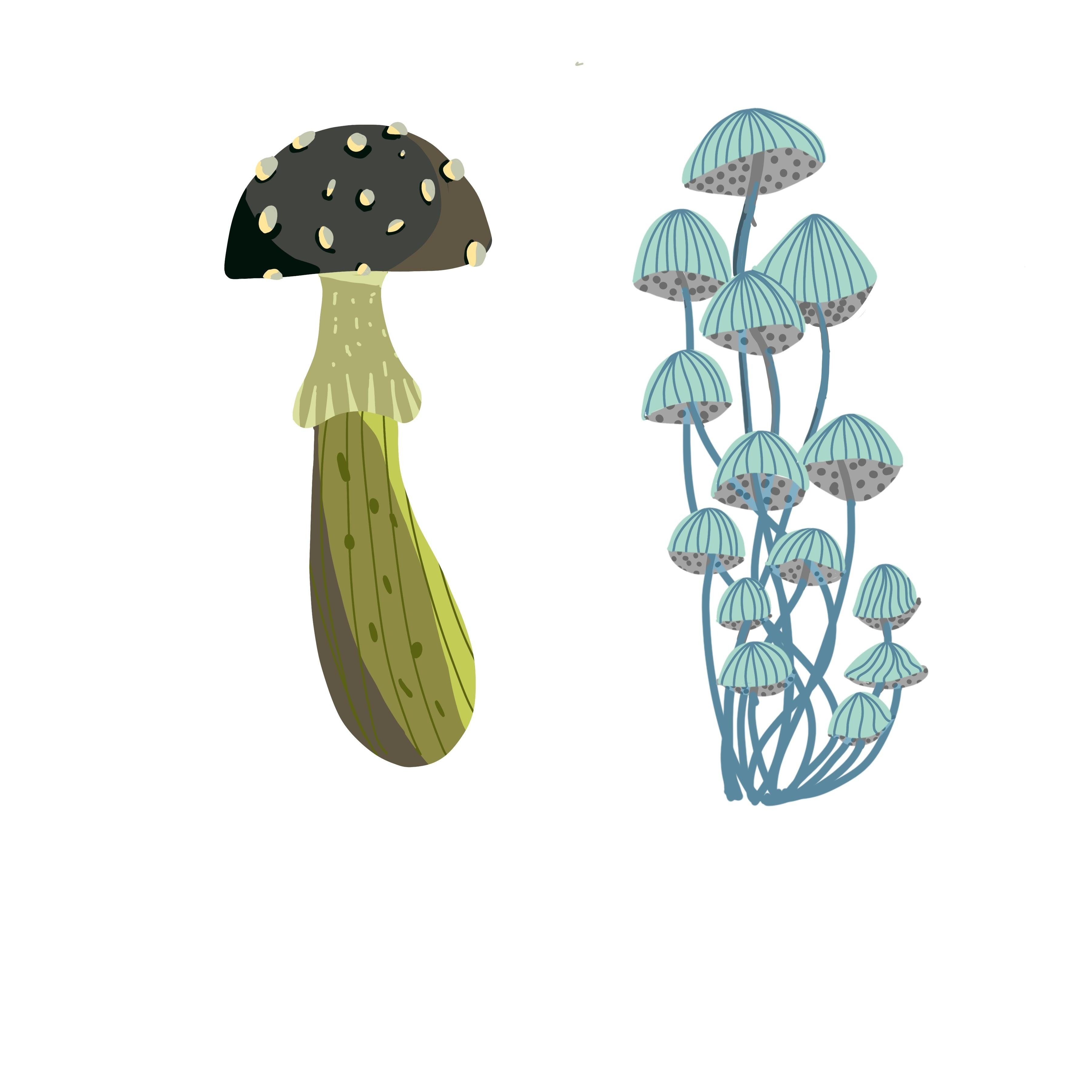 more-projects-from-class-img