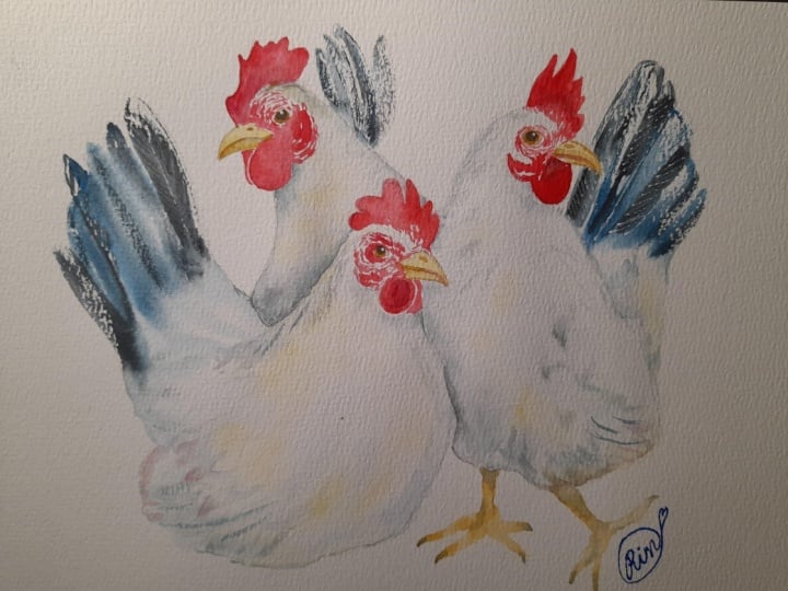 3 hen