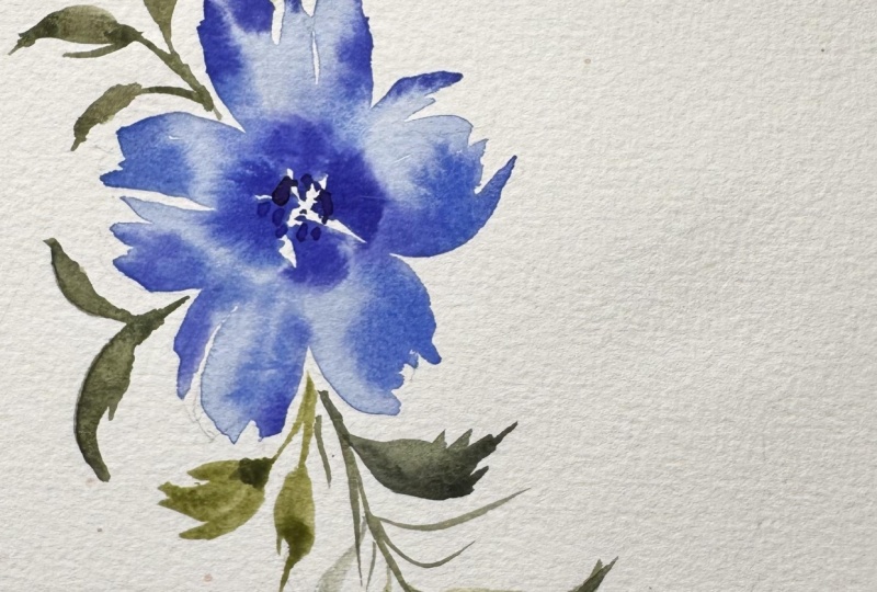 9 loose watercolor flowers