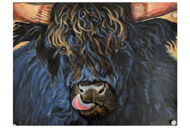 Updated Bull Highland Cow on acrylic