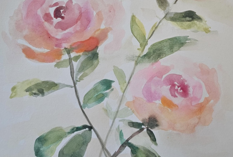 Soft Rose