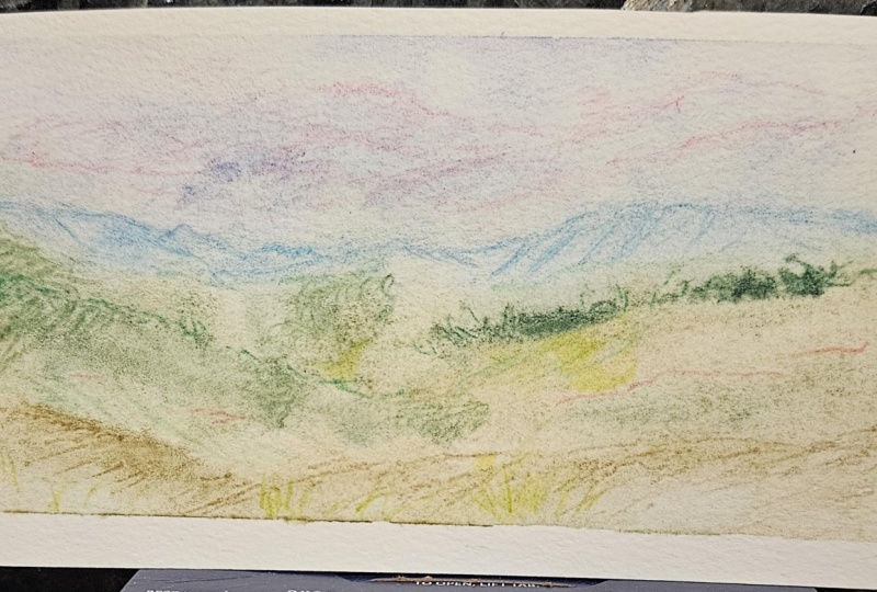 Mini landscape