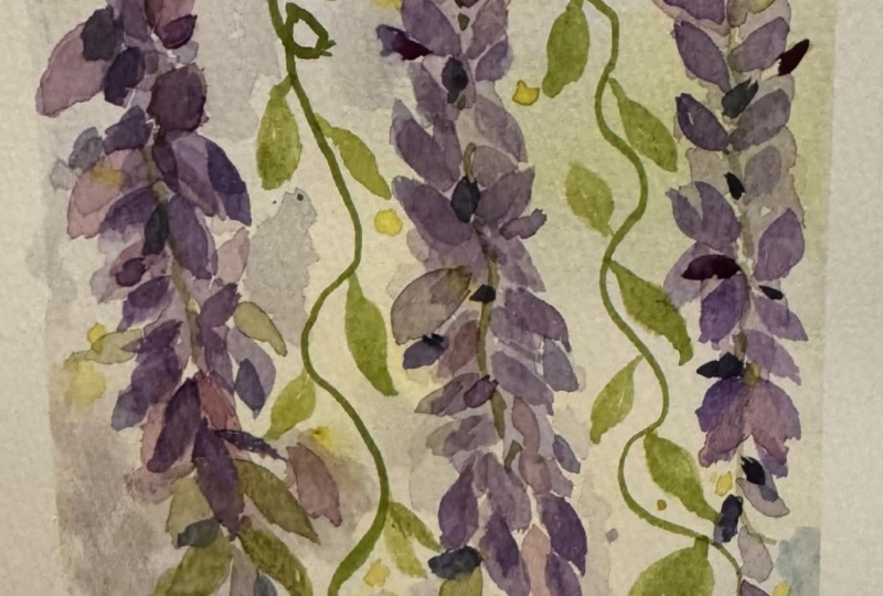 Glowing Watercolor Wisteria
