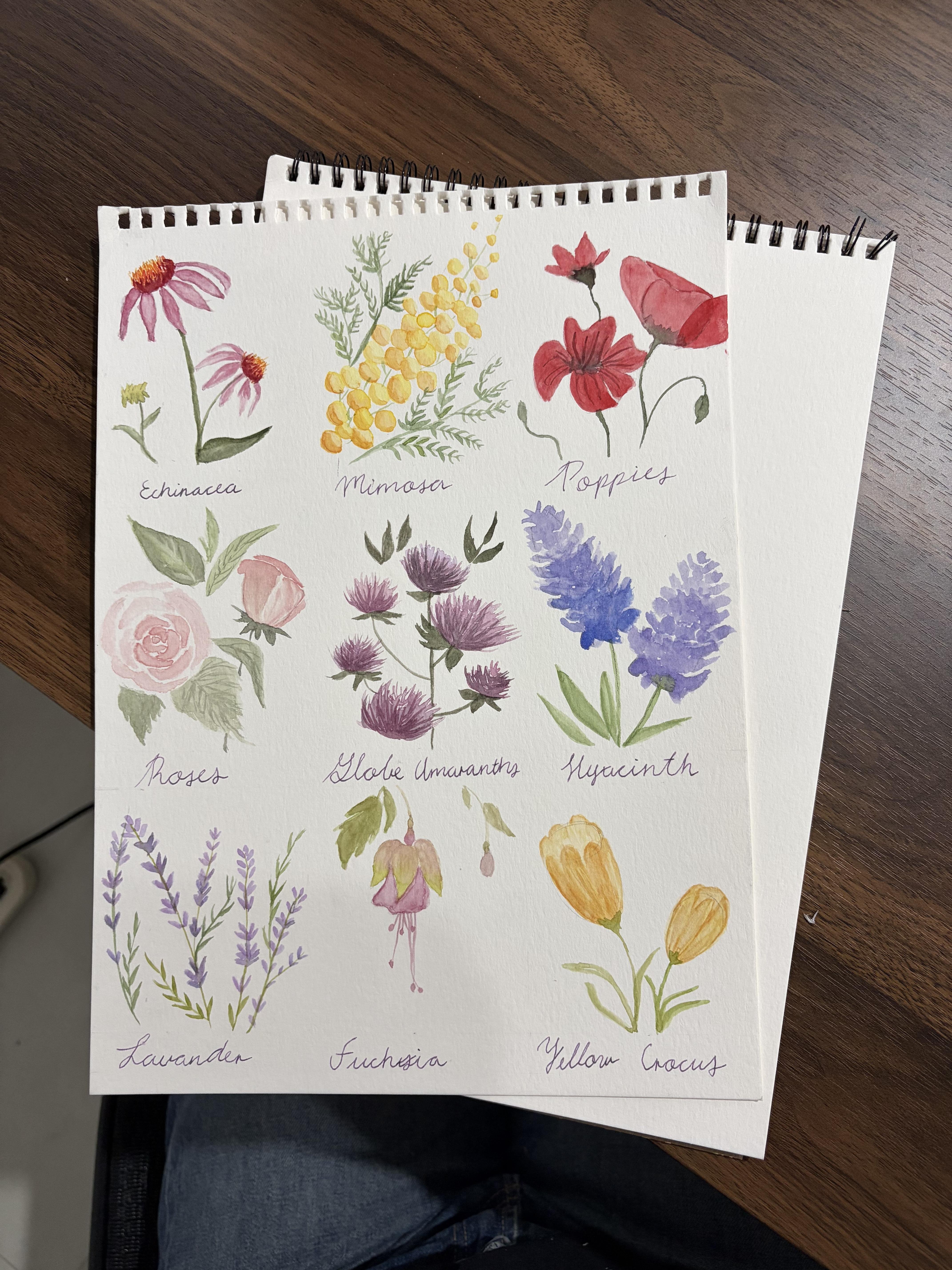 more-projects-from-class-img