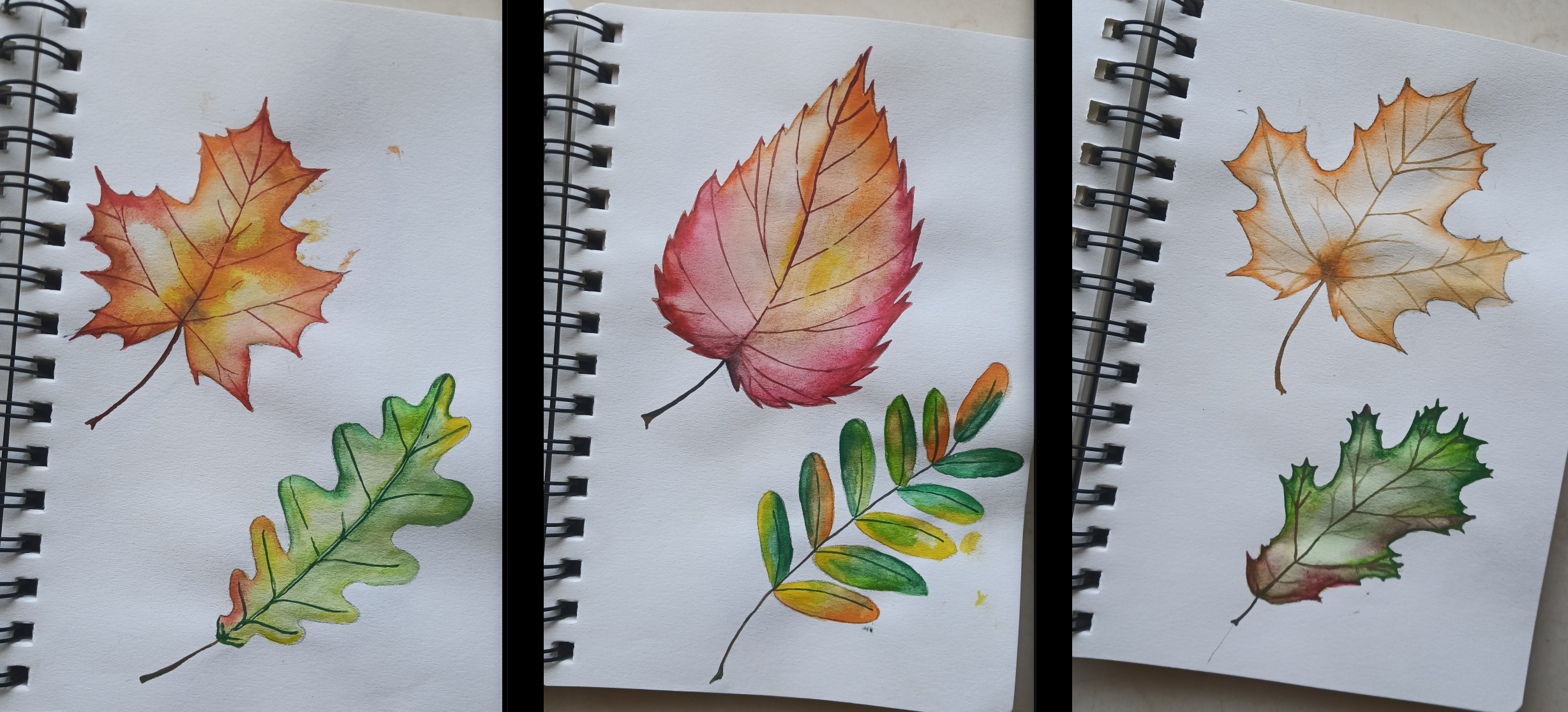 more-projects-from-class-img