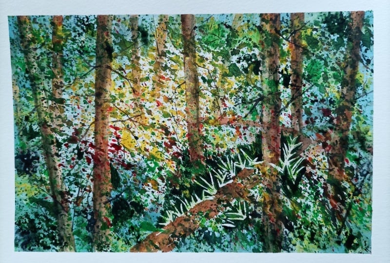 Forest walk