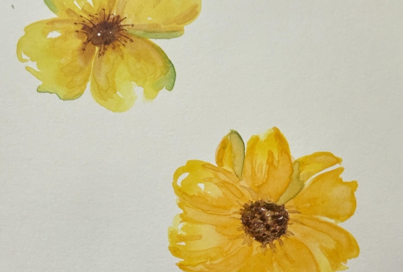 A study in yellow