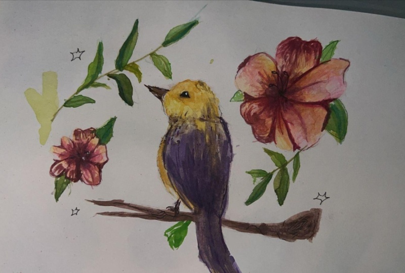 Ilustración Botanica