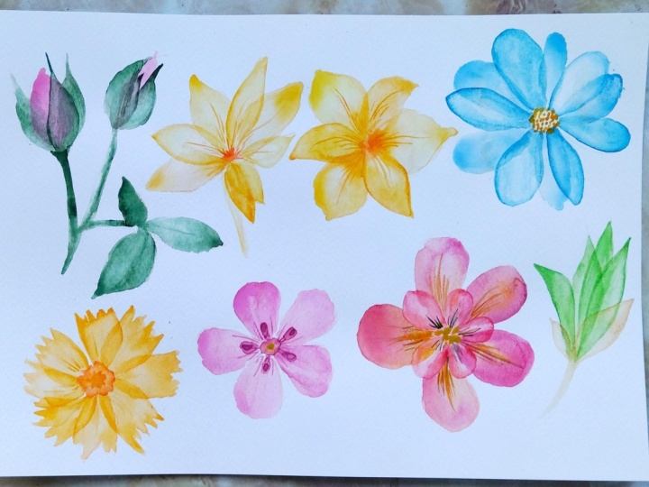 Aquaflowers
