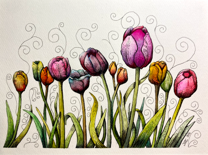 Watercolor with Pen & Ink Tulips