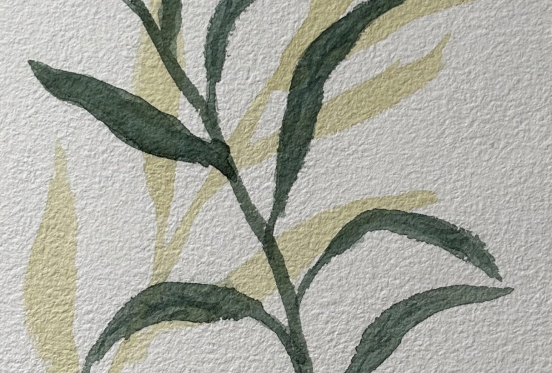 Leaf flow and stem crossing