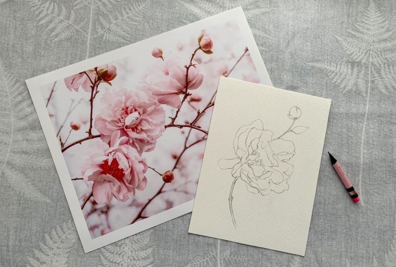 Photo to Sketch flower (Sample Project)