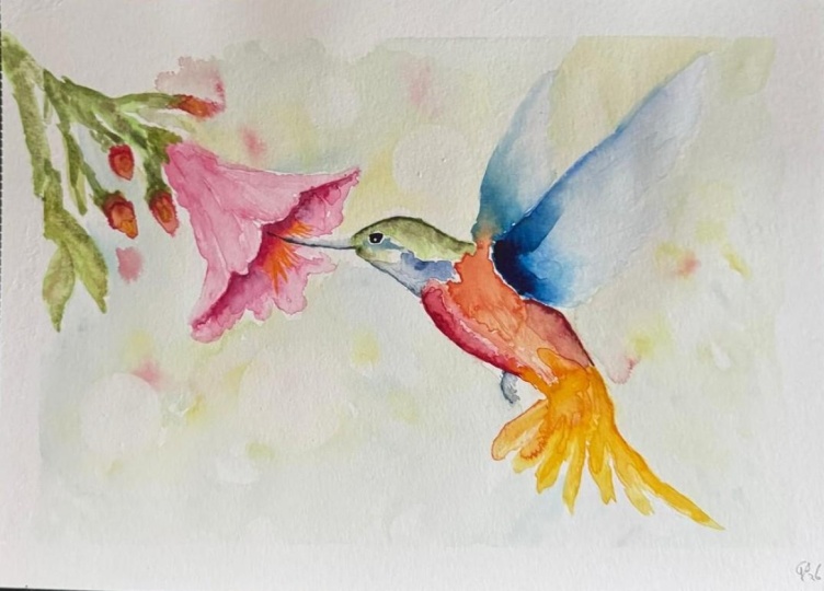 Feeding hummingbird