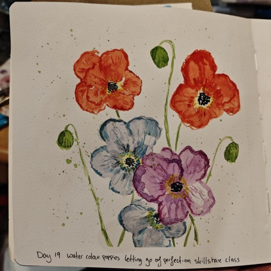 Letting go of mistakes poppies