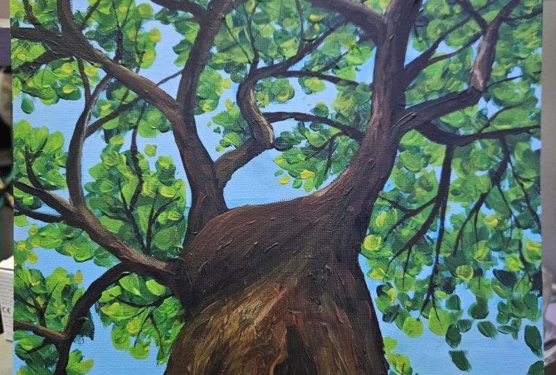 A tree and a thank you