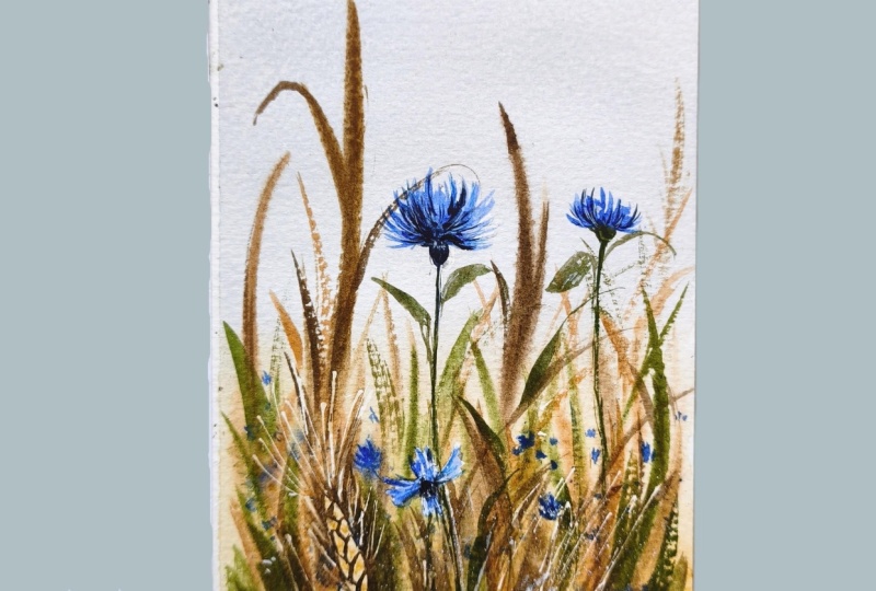 Loose cornflowers