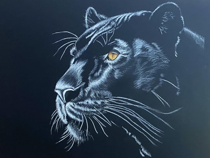 Black Panther with pencil