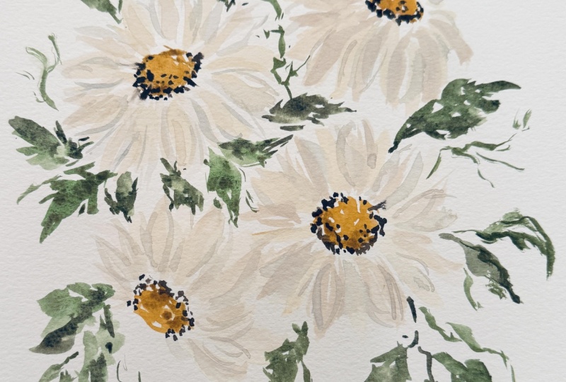 Daisies