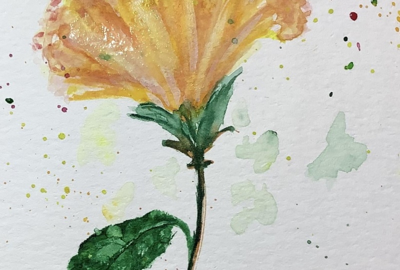 Hibiscus attempt