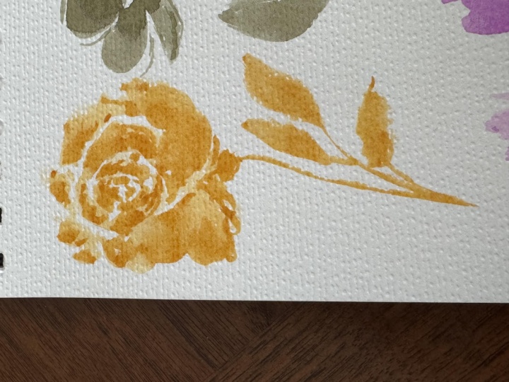 A sweet yellow rose!