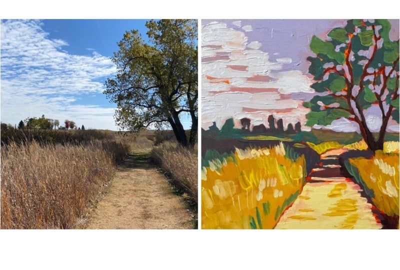 Landscape Fundamentals Practice