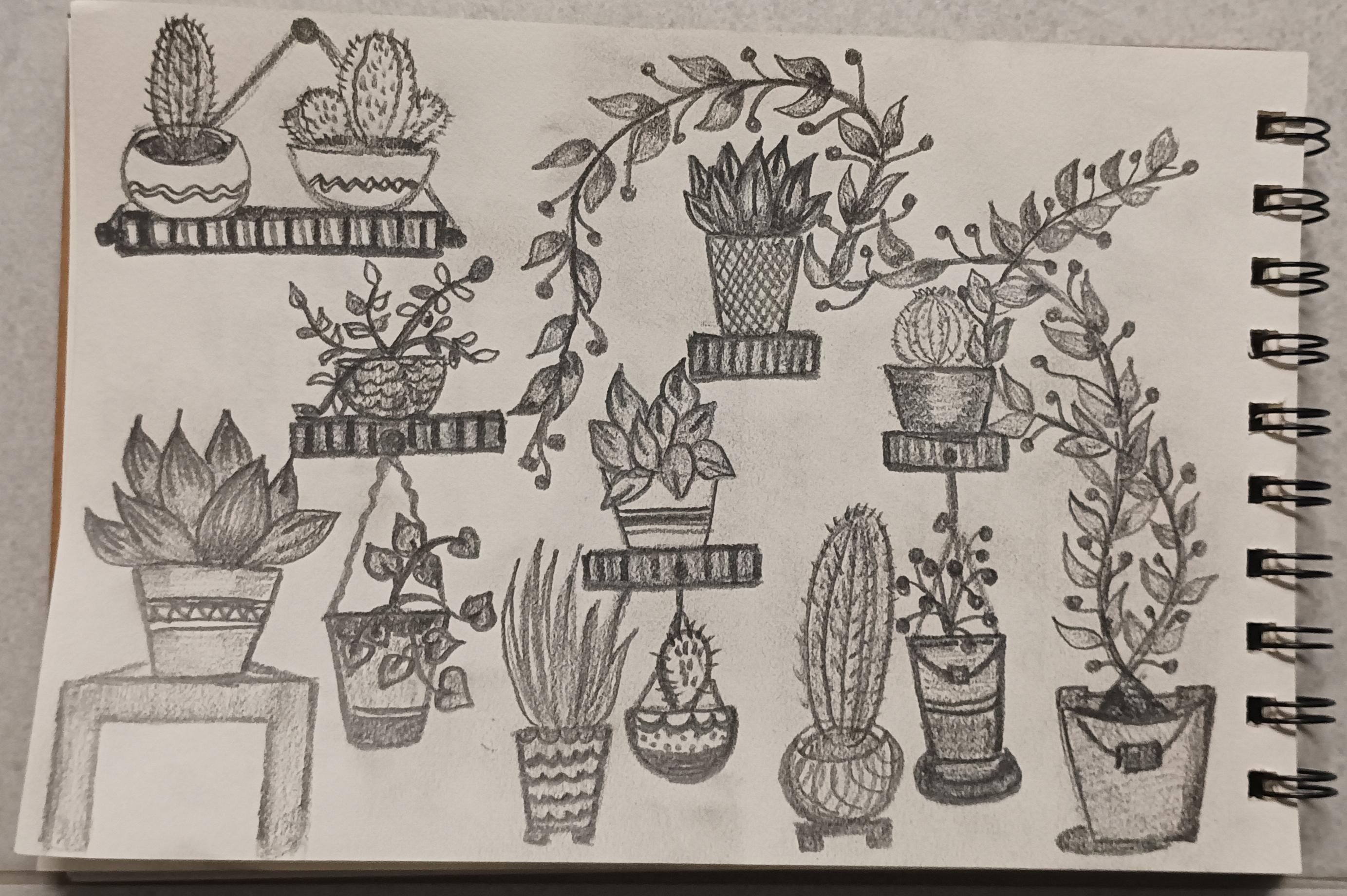 more-projects-from-class-img