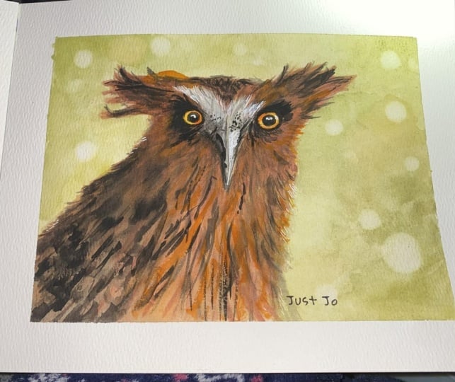 Oswald the (slightly orange) Owl!