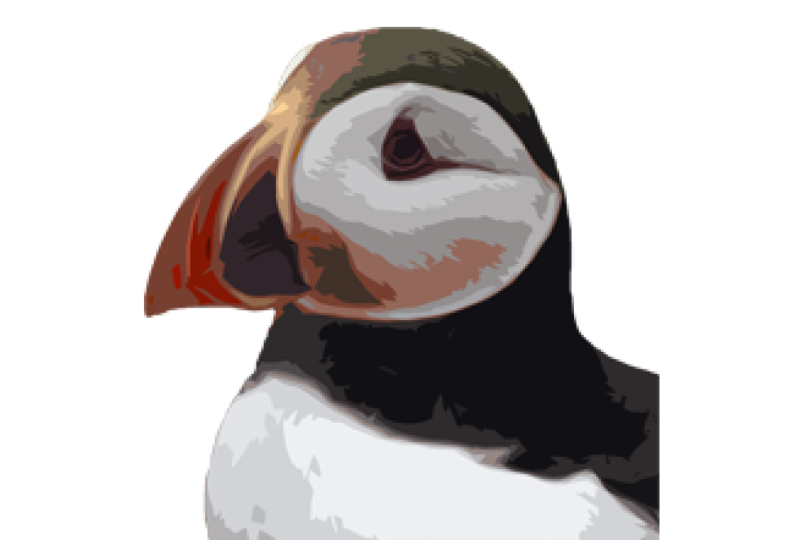 Puffin Creative