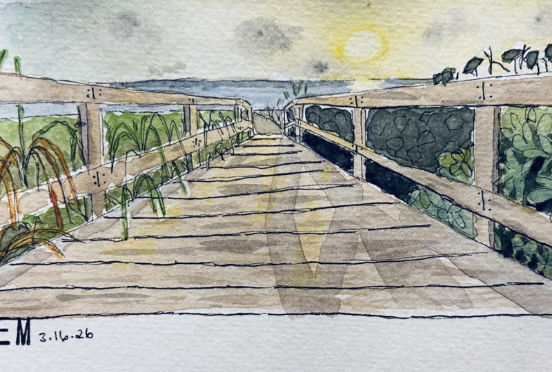 Boardwalk to a sunset on the beach