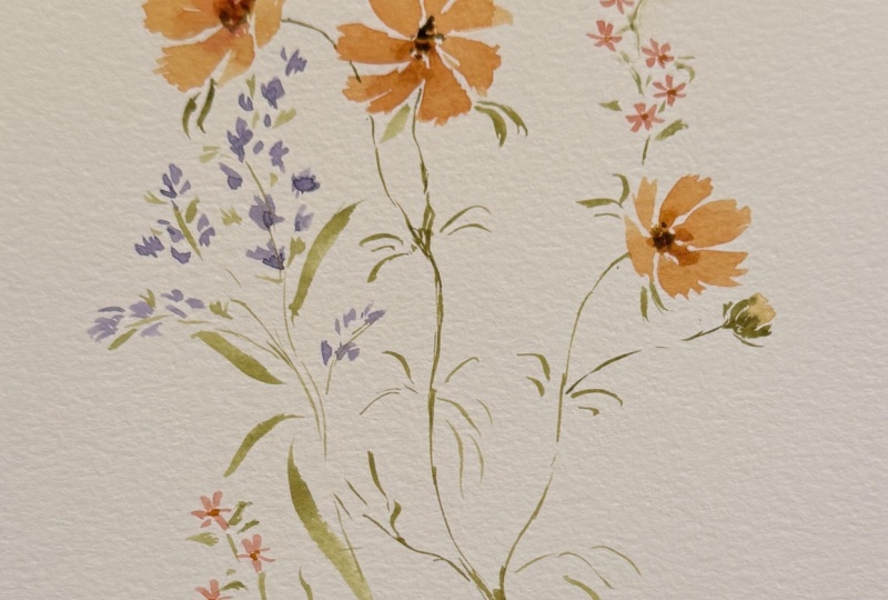 More Wildflowers