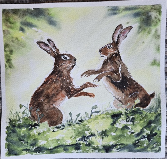 Boxing hares