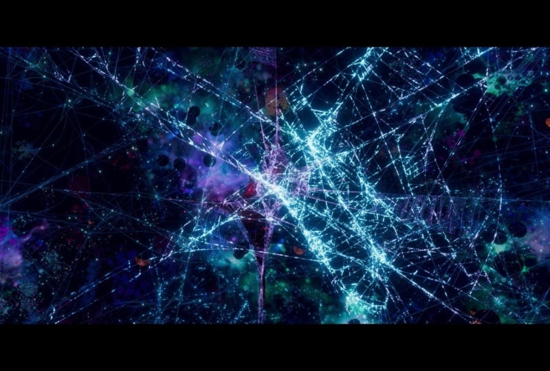 Multiverse