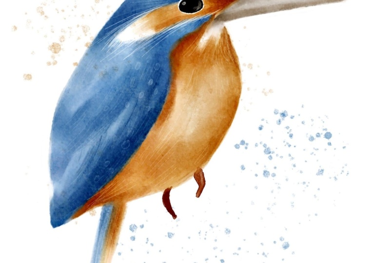 Watercolour Kingfisher