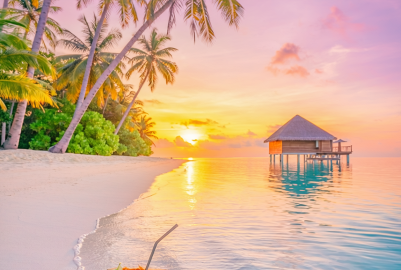 Golden Sunset Escape: A Tropical Paradise Dream 🌴🌅