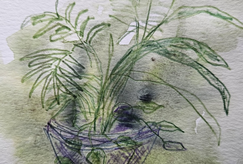 Simplified plants