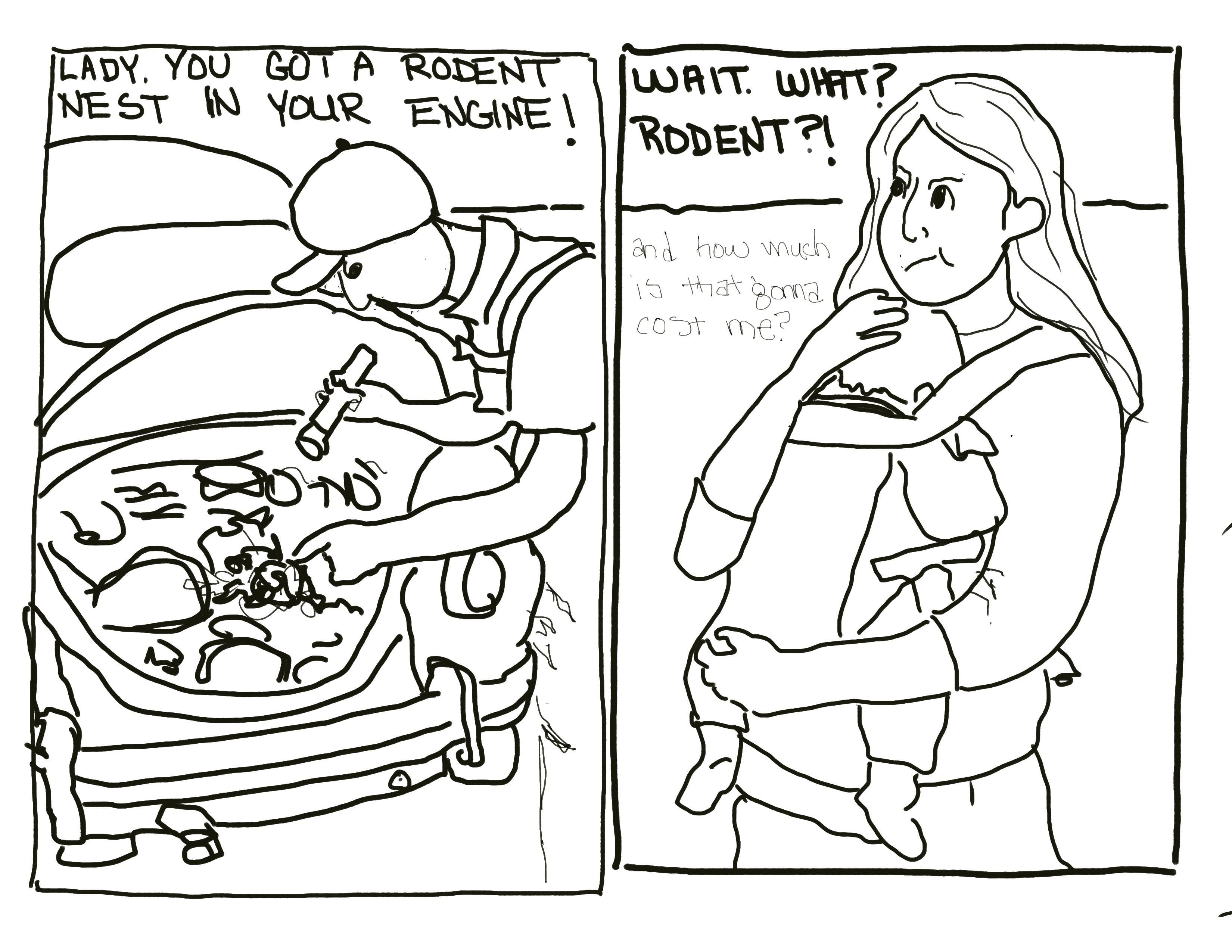 more-projects-from-class-img