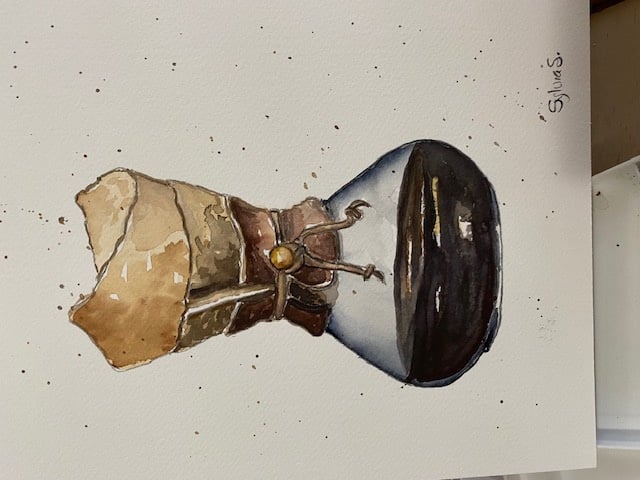 more-projects-from-class-img