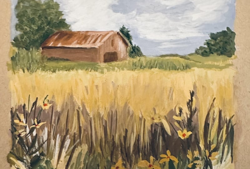Meadow with  a barn in the distance