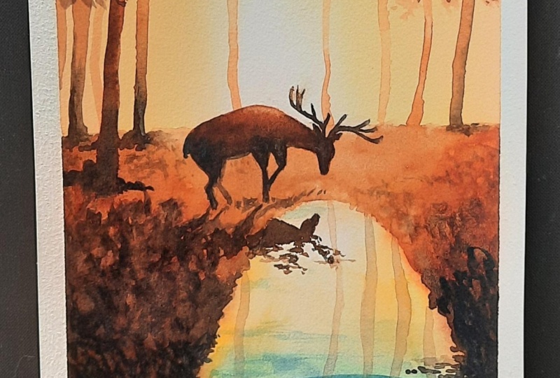 Deer in a Forest