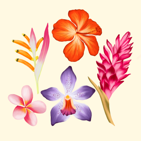 Tropical Flowers