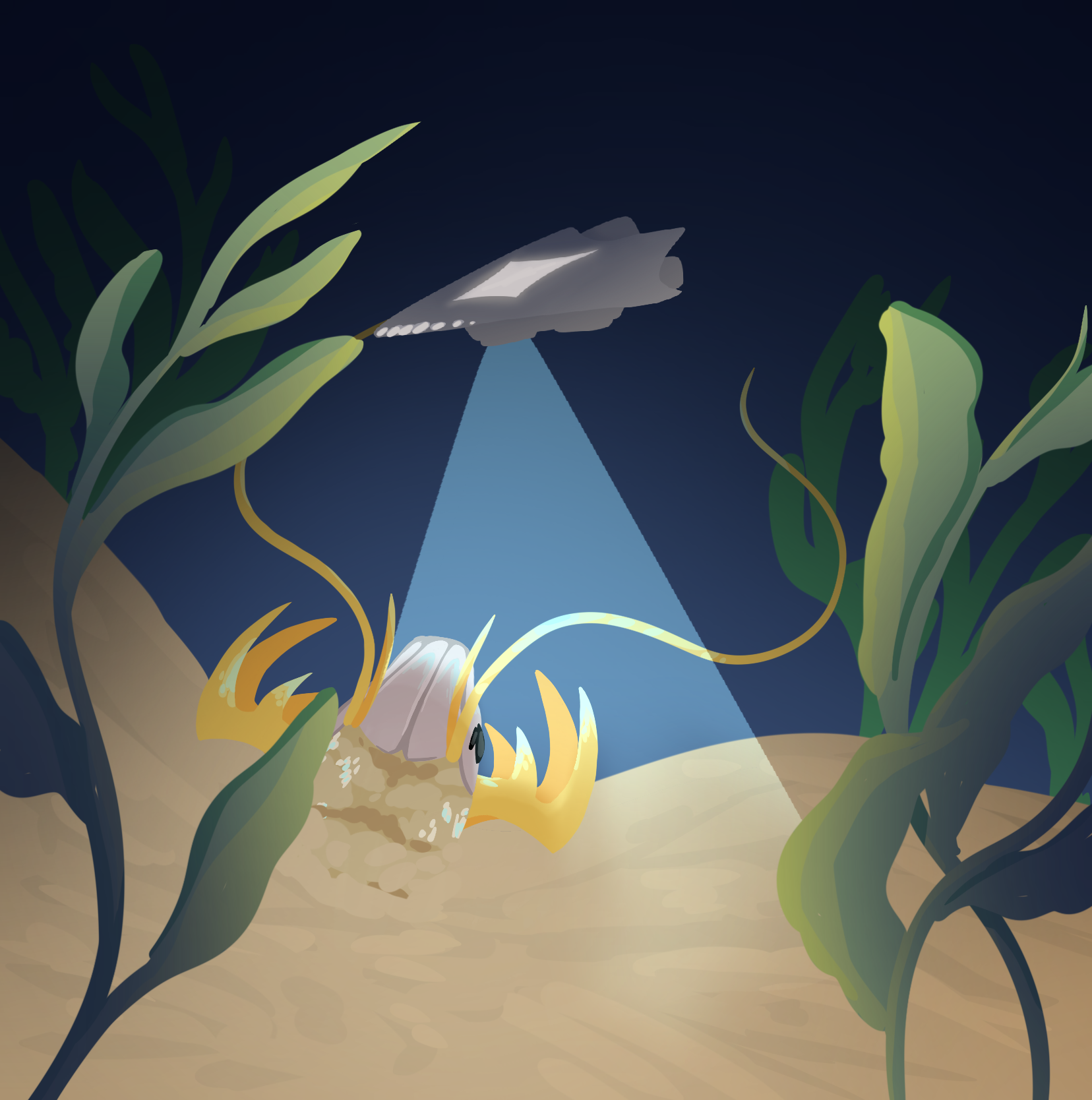 more-projects-from-class-img